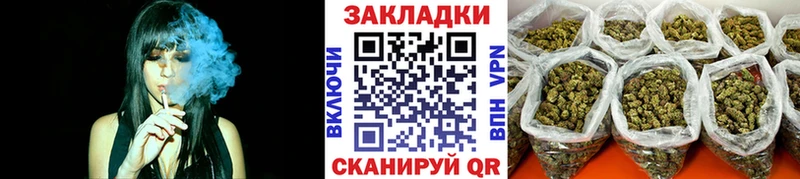 Где можно купить наркотики Фрязино APVP  МЕФ  ГАШ  МДМА  MEGA ссылка  Канабис 