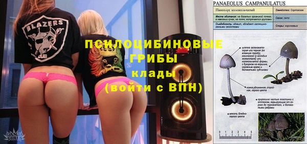 apvp Балахна