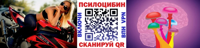 ссылка на мегу рабочий сайт Фрязино Псилоцибиновые грибы MAGIC MUSHROOMS